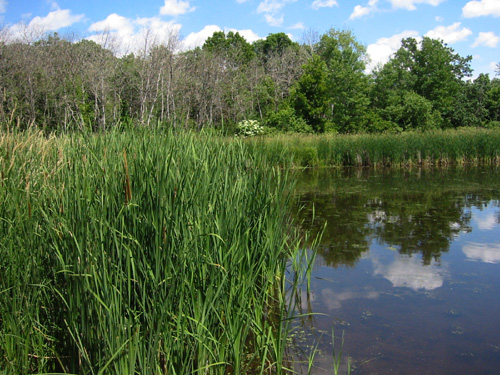 edna taylor conservation park