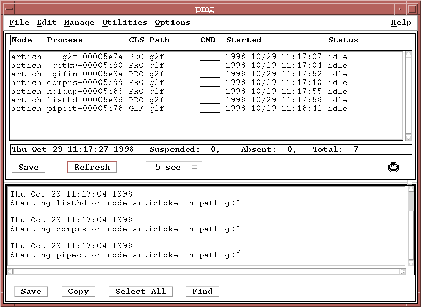 PMG Window with Processes Started